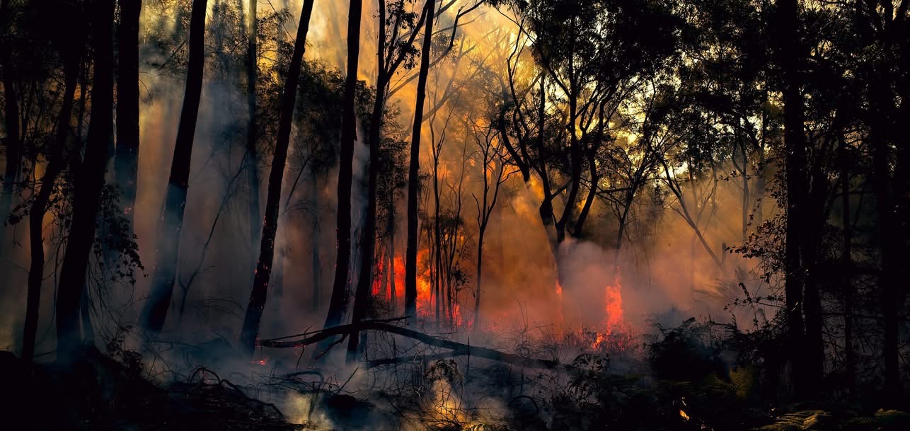 Landscape shot of hellish-looking burning landscape